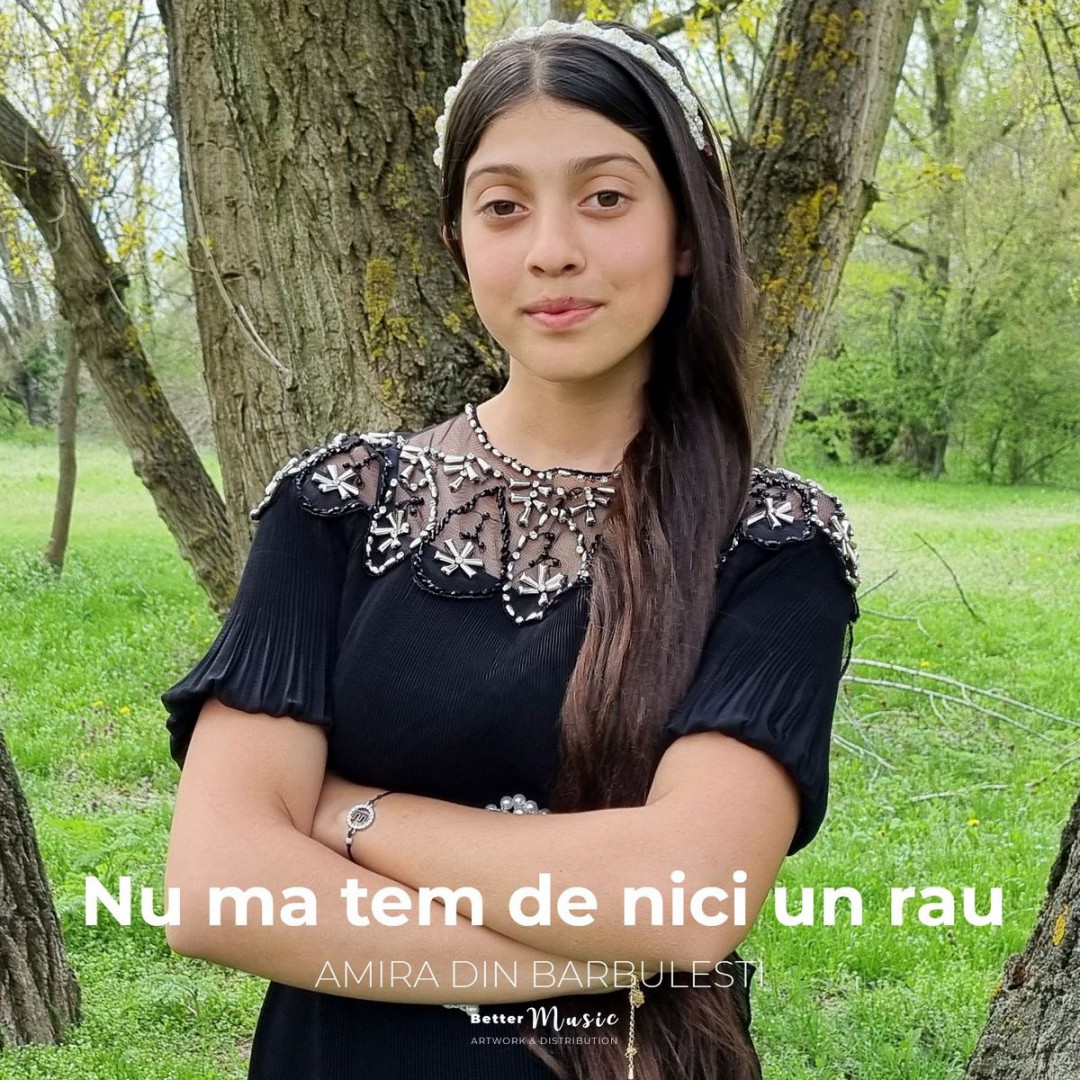 Se încarcă...