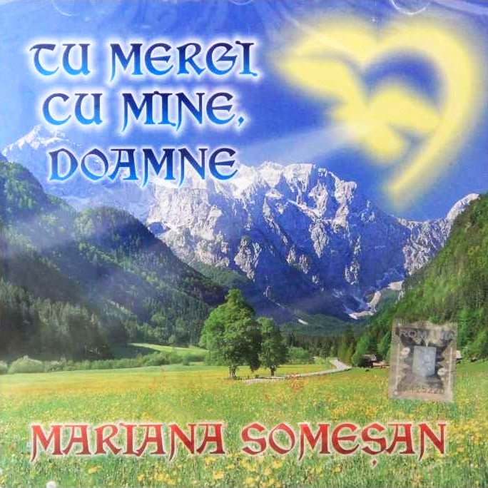 Se încarcă...