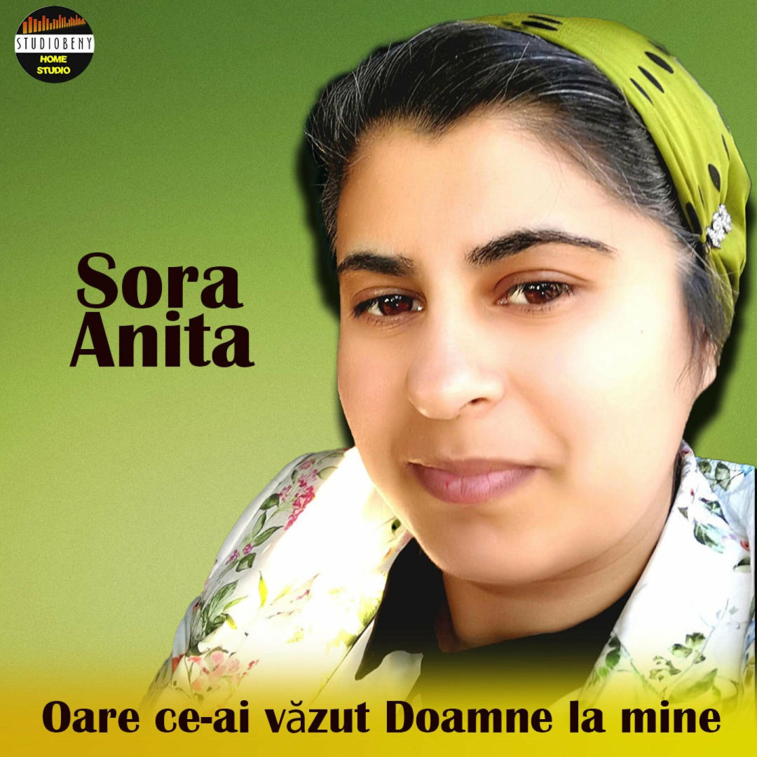 Se încarcă...